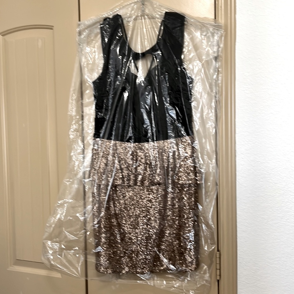 NWT Sparkly Champagne Party Dress